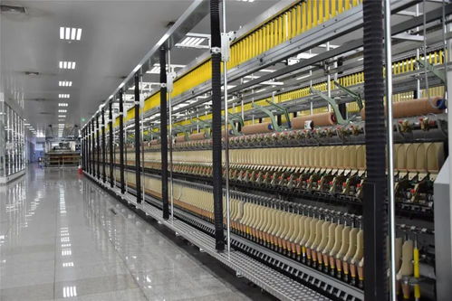 轉(zhuǎn)型升級 產(chǎn)業(yè)強區(qū)