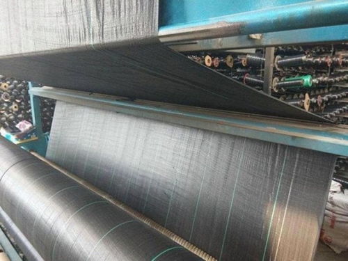 防草布生產廠家及經緯編布銷售聯系方式